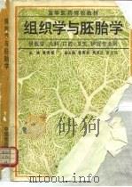 组织学与胚胎学（1989 PDF版）