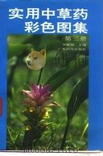 实用中草药彩色图集  第3册（1994 PDF版）
