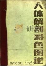 人体解剖学彩色图谱（1986 PDF版）