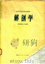 解剖学（1979 PDF版）