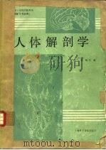 人体解剖学 1990 PDF电子版封面 7542703021 丁士海,韩棣主编