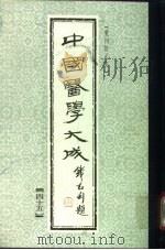 中国医学大成 45 1990 PDF电子版封面
