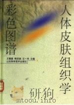 人体皮肤组织学彩色图谱（1999 PDF版）