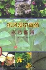 抗风湿中草药彩色图谱（1997 PDF版）