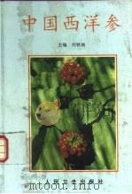 中国西洋参 1995 PDF电子版封面 7117022590 刘铁城主编