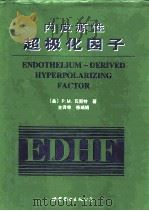 内皮源性超极化因子（1999 PDF版）