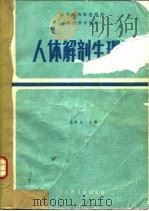人体解剖生理学  第2版（1986 PDF版）