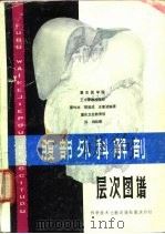 腹部外科解剖层次图谱（1979 PDF版）