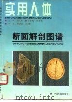 实用人体断面解剖图谱（1997 PDF版）