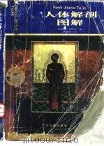 人体解剖图解（1993 PDF版）
