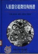 人胎器官超微结构图谱（1996 PDF版）