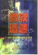 微软遭遇  知识经济时代的社会冲突（1999 PDF版）