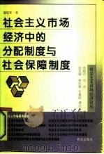 社会主义市场经济中的分配制度与社会保障制度（1995 PDF版）