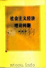 社会主义经济理论问题（1979 PDF版）
