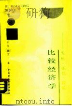 比较经济学  发展·体制·政策（1990 PDF版）