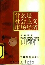 什么是社会主义市场经济（1993 PDF版）