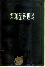 宏观经济理论（1981 PDF版）