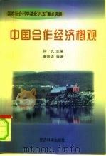 国家社会科学基金“八五”重点课题 中国合作经济概观 1998年01月第1版 PDF电子版封面 何光