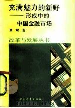 充满魅力的新野  形成中的中国金融市场（1987 PDF版）