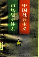 中国社会主义市场经济体系（1993 PDF版）