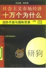 社会主义市场经济十万个为什么  对外开放与国际贸易分册（1993 PDF版）