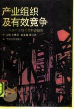 产业组织及有效竞争  中国产业组织的初步研究（1991 PDF版）