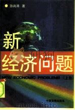 新经济问题  上（1996 PDF版）