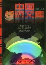 中国经济文库 11 审计卷 1995 PDF电子版封面 7801090802 乌杰主编;王潼等副主编