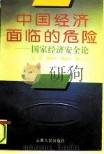 中国经济面临的危险  国家经济安全论（1994 PDF版）