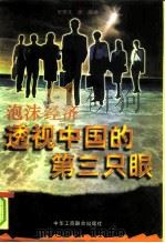 泡沫经济-透视中国的第三只眼 1996 PDF电子版封面 780100261X 史仲文,庞毅著