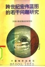 跨世纪宏伟蓝图的若干问题研究（1996 PDF版）