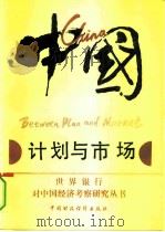中国  计划与市场（1991 PDF版）
