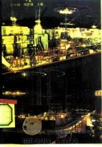 为什么能够起飞 走向21世纪的中国经济面面观 1993 PDF电子版封面 7800901688 江小涓等著