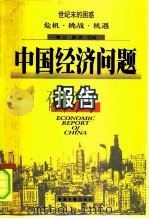 中国经济问题报告  世纪末的困惑  危机·挑战·机遇（1998 PDF版）