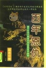 百年恩仇 两个东亚大国现代化比较的丙子报告 上 1996 PDF电子版封面 7800888029 辛向阳主编;倪建中,周树兴副主编;北京泛亚太经济研究所编