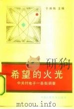 希望的火光  中关村电子一条街调查（1988 PDF版）
