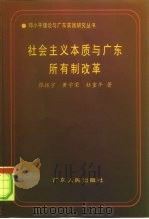 社会主义本质与广东所有制改革（1995 PDF版）