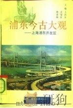 浦东今古大观 上海浦东开发区 1992 PDF电子版封面 750231606X 王洪泉等主编