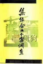 集体企业个案调查（1996 PDF版）