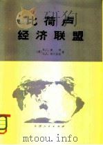 比荷卢经济联盟  比利时、荷兰及卢森堡经济地理（1980 PDF版）