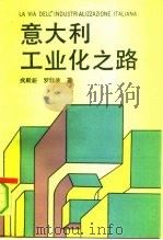 意大利工业化之路（1991 PDF版）