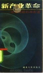 新产业革命  技术突破的冲击波（1986 PDF版）
