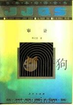 审计（1994 PDF版）