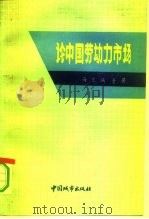 论中国劳动力市场（1991 PDF版）