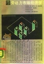 劳动力市场经济学当代经济学教学参考书系（1989年01月第1版 PDF版）