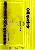 公共债务审计（1991 PDF版）