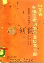 山东省乡镇区街明星企业致富之路（1988 PDF版）