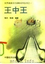王中王（1993 PDF版）