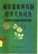 城市集体所有制经济大有可为  北京市解决劳动就业问题的情况调查（1979 PDF版）
