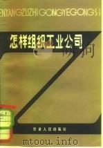 怎样组织工业公司（1980 PDF版）